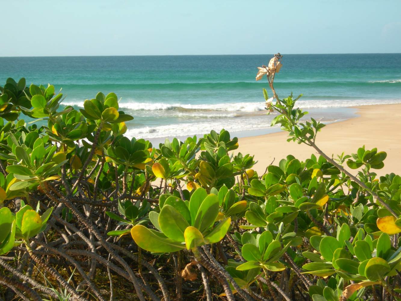 Mosambik Insel Magaruque